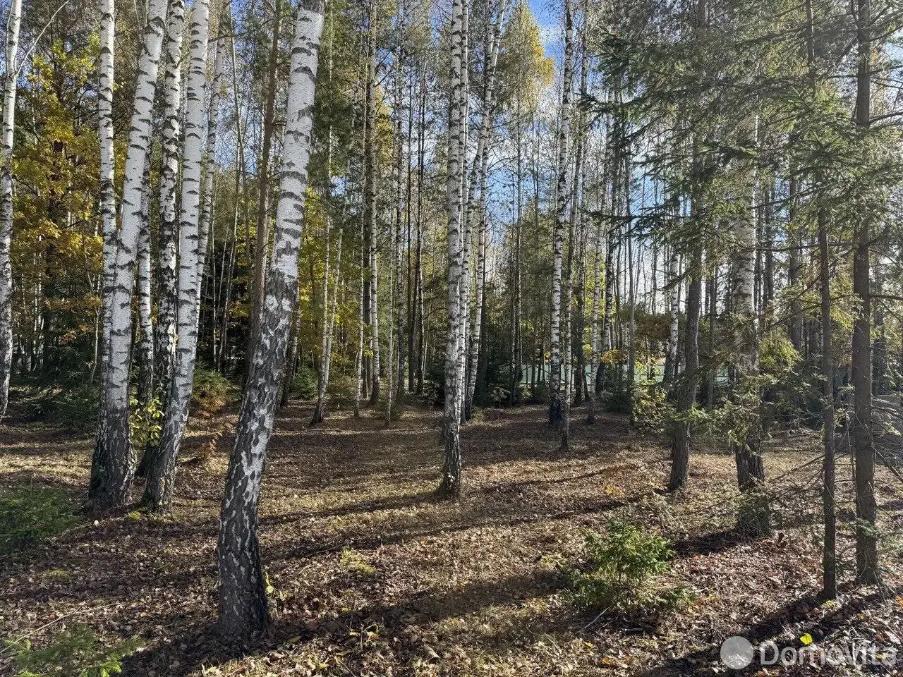 участок, Колодищи, ул. Алмазная 