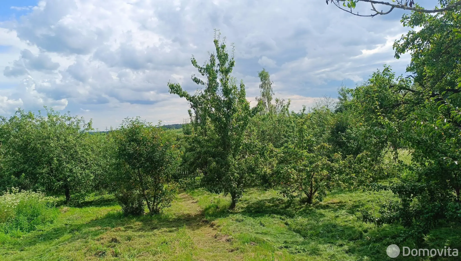 дом, Шимково, 