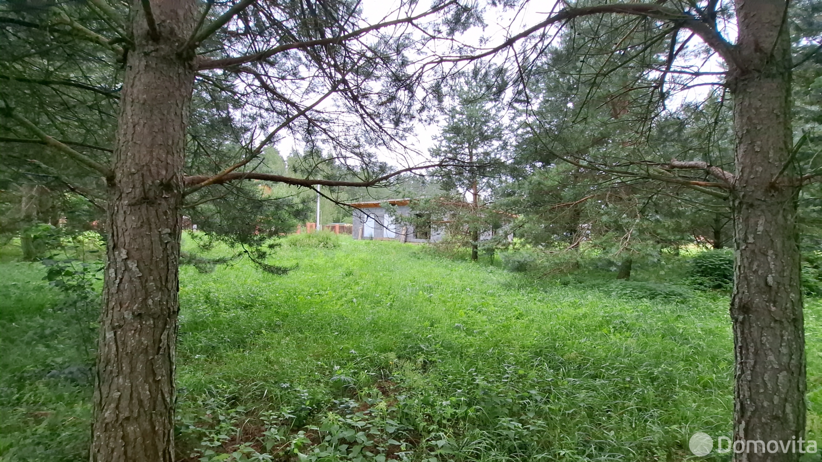 участок, Молоди, 