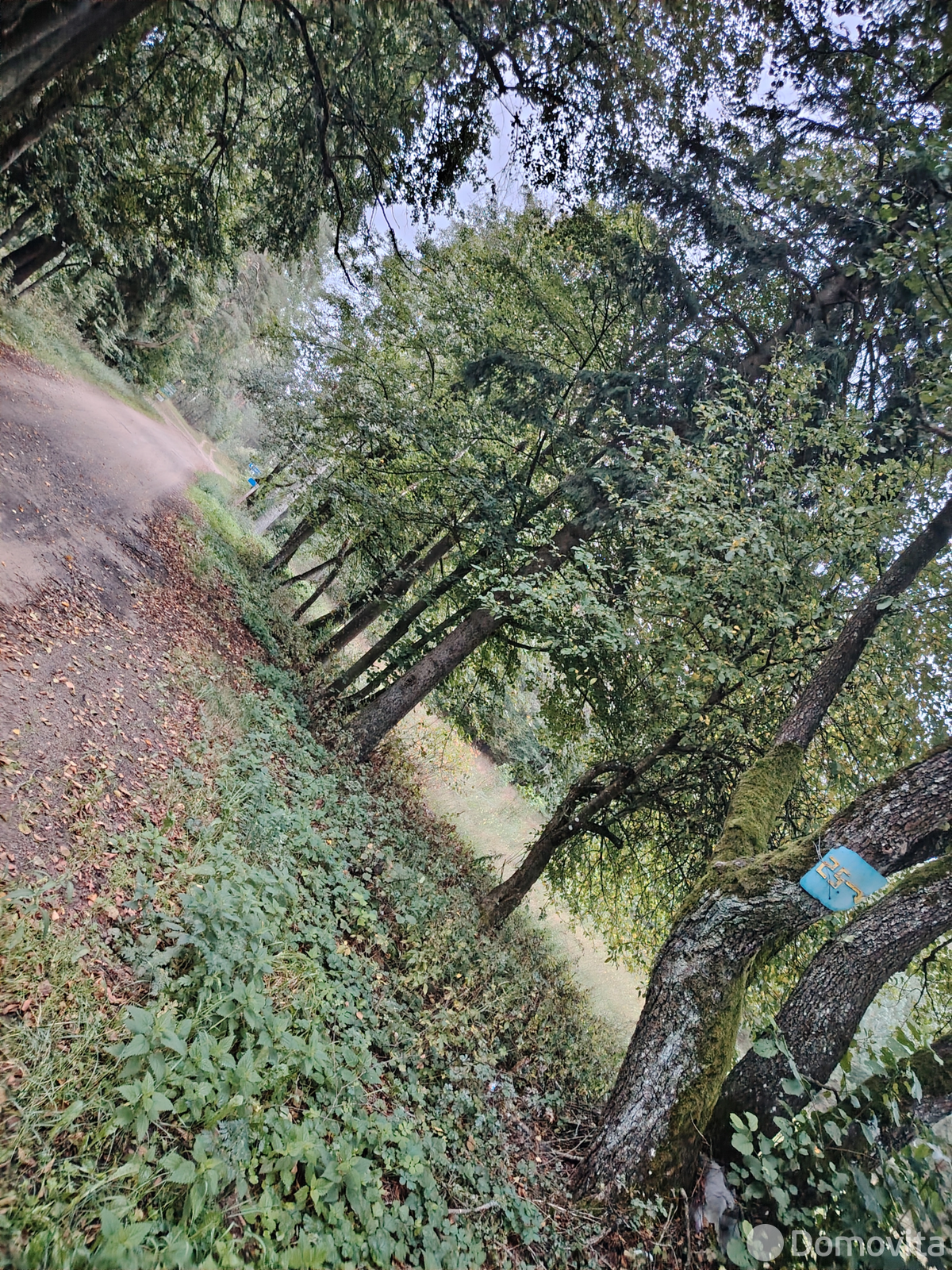 Продажа 1-этажной дачи в Лихачах Гродненская область, 14000USD, код 183405 - фото 41