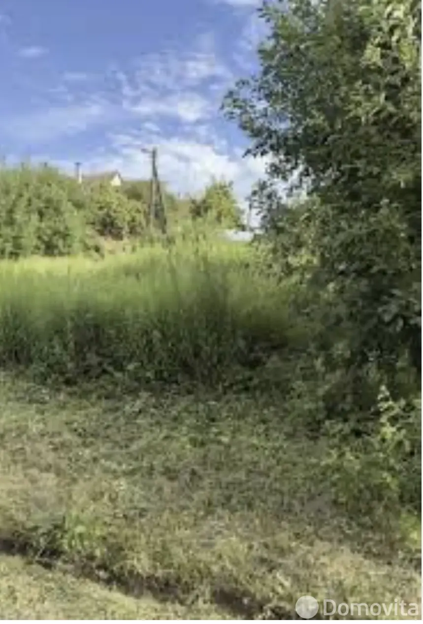 участок, Полиграфист, 