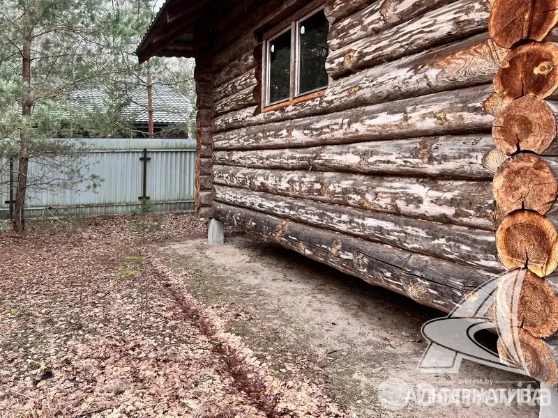 Купить 1-этажную дачу в Алеся-50 Брестская область, 31900USD, код 181350 - фото 19