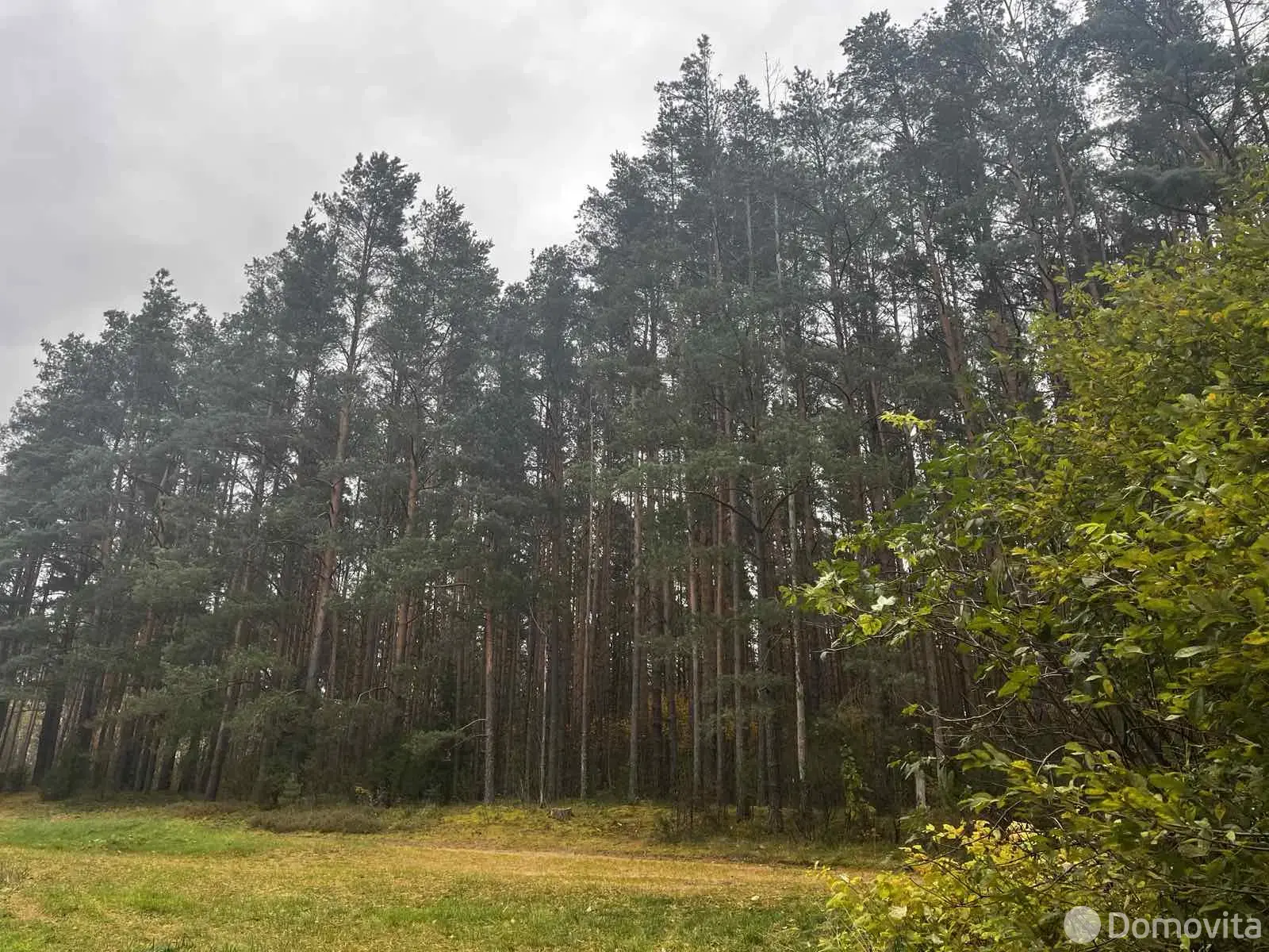 дом, Довжани, 