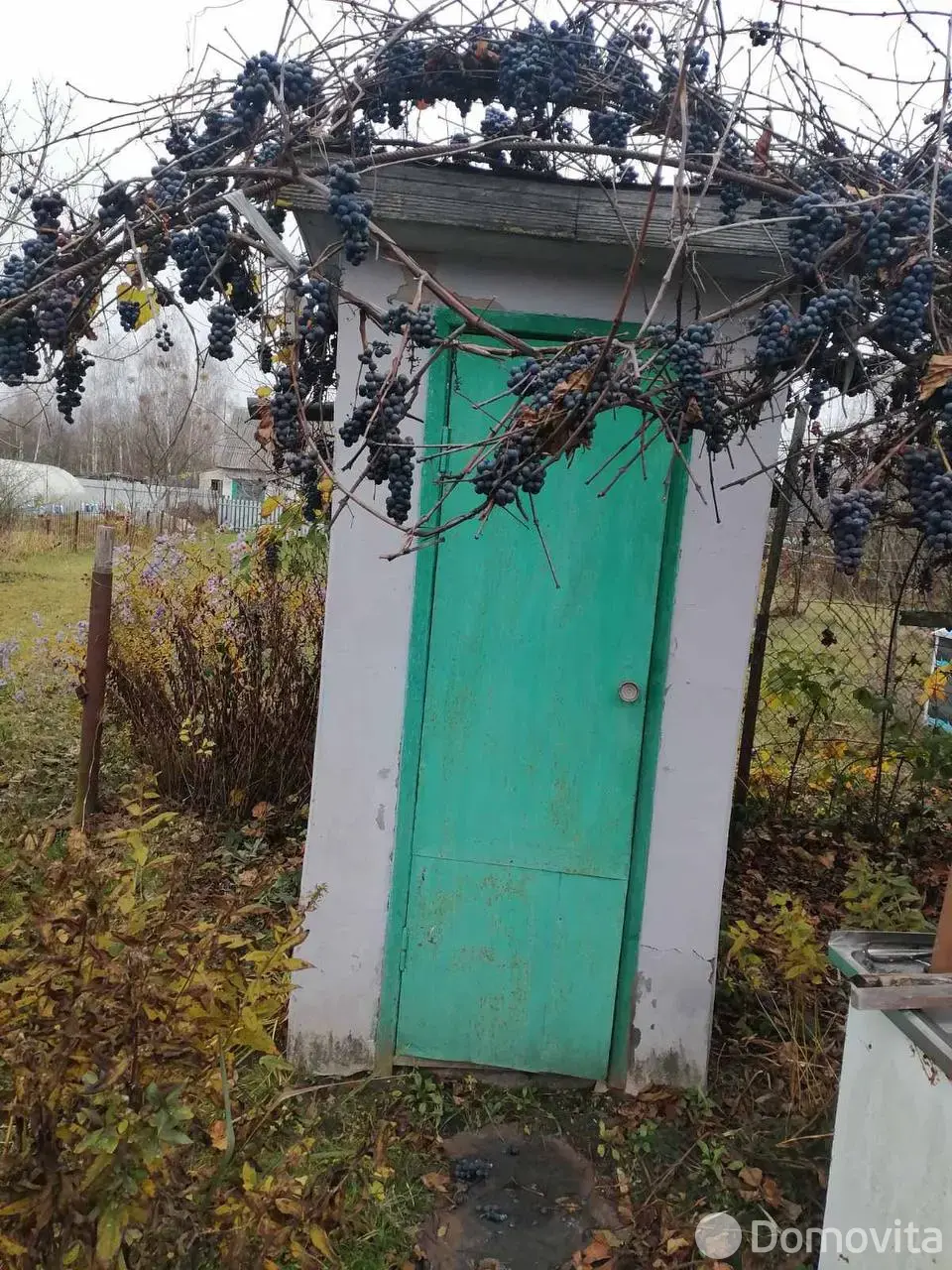 Продажа 1-этажной дачи в Мозыре Гомельская область, 8000USD, код 184920 - фото 25