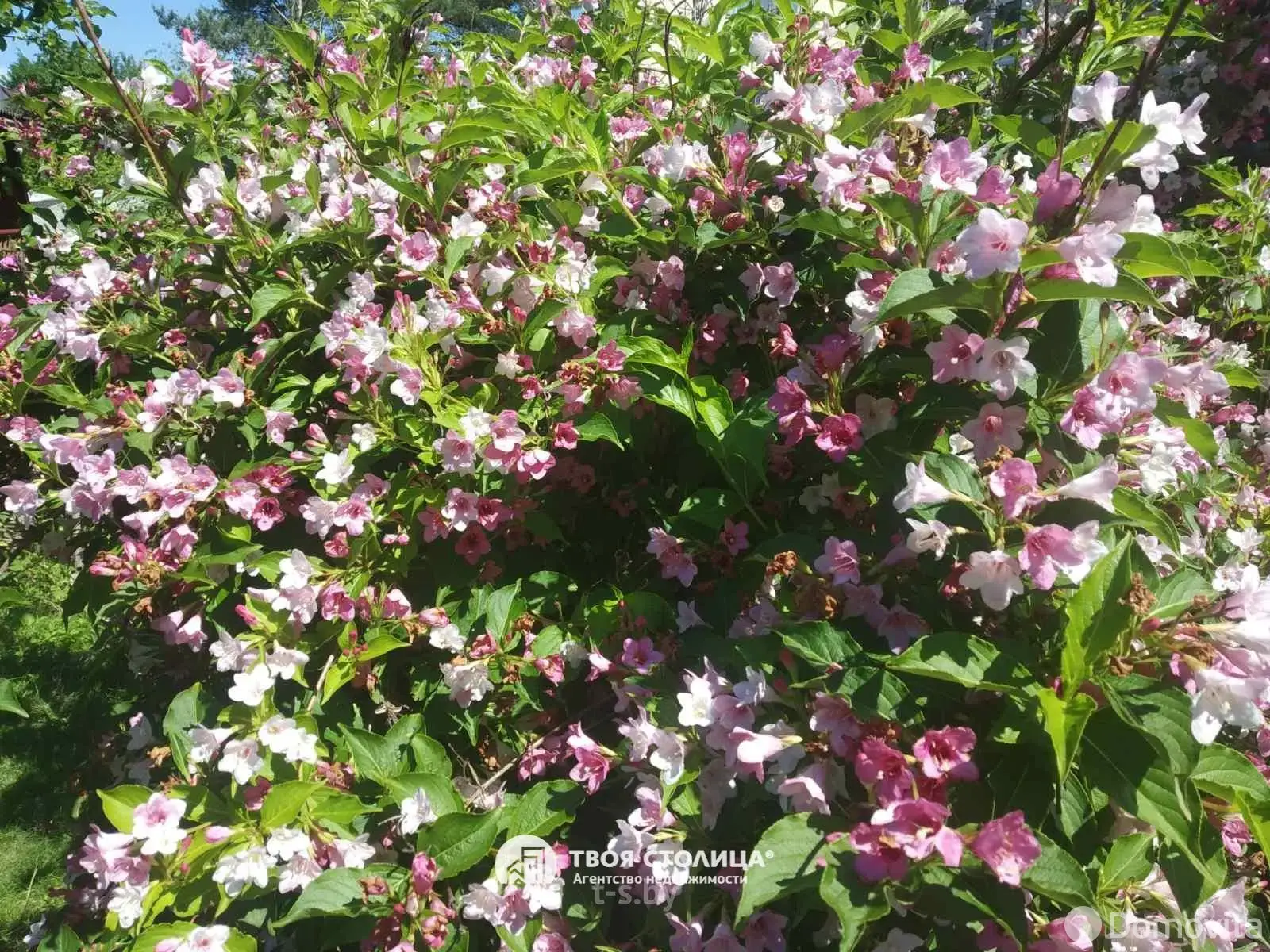 Купить 2-этажную дачу в Юхновке Минская область, 55000USD, код 181716 - фото 31