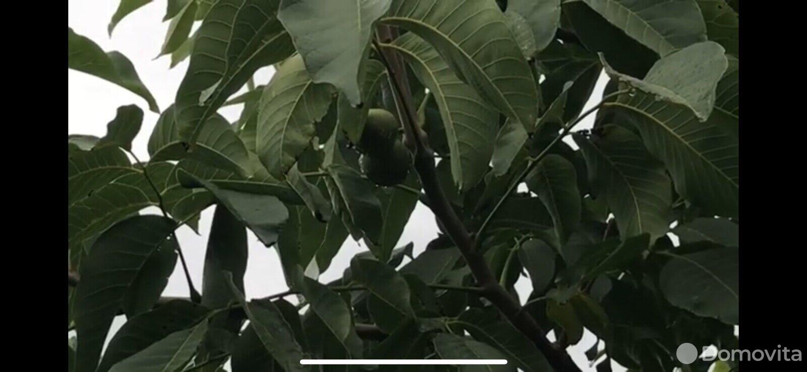 Купить земельный участок, 10.11 соток, Амкодор-1, Минская область, 9900USD, код 567139 - фото 15