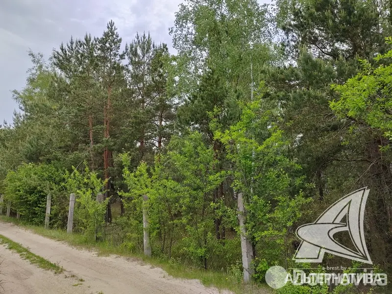 Продажа 2-этажной дачи в Жемчужина-1988 Брестская область, 88000BYN, код 185911 - фото 39