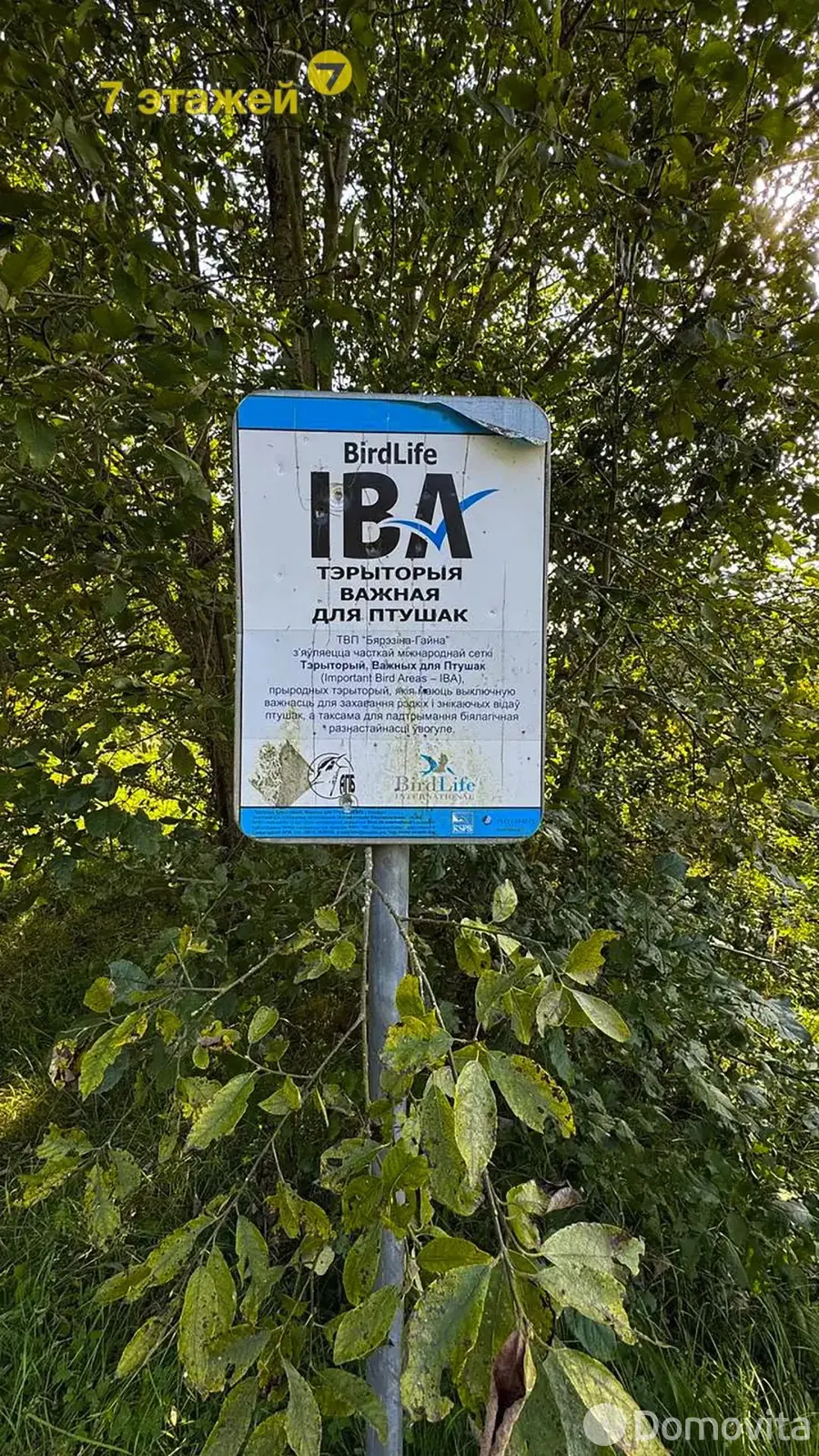 Продажа 2-этажной дачи в Энергостроителе Минская область, 15700USD, код 179902 - фото 31