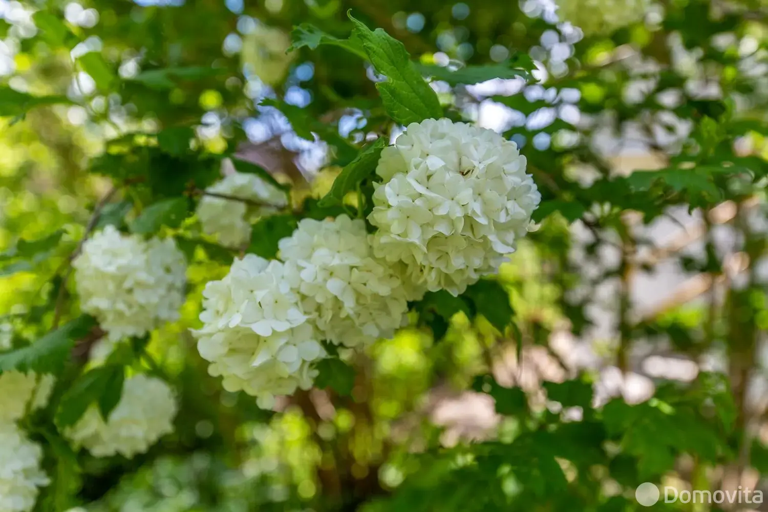 дача, Минский Водник, 