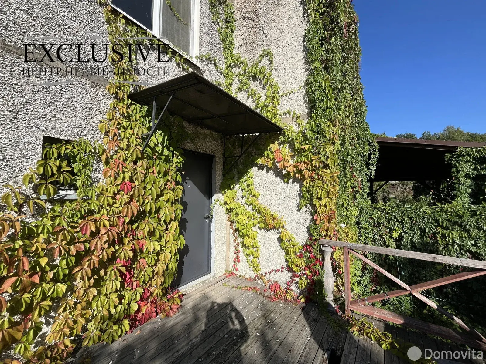 дача, Береза, 