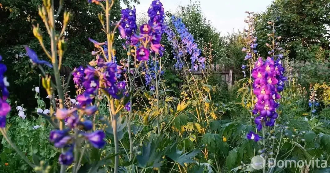 Цена продажи дачи, Дричин, 