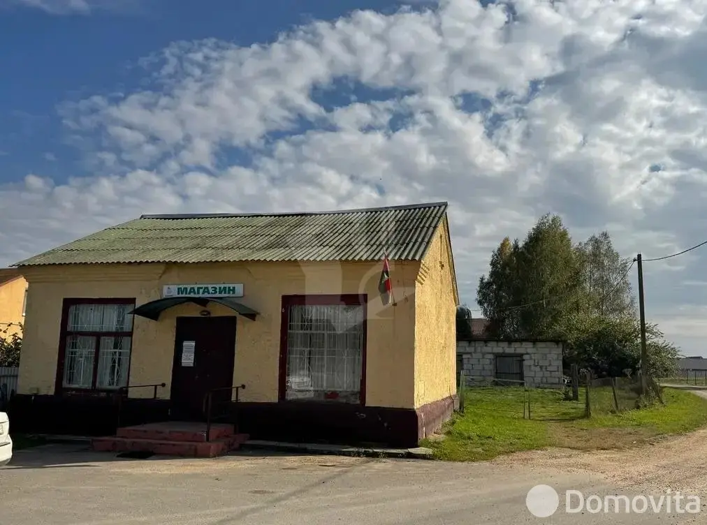Цена продажи участка, Василевщина,