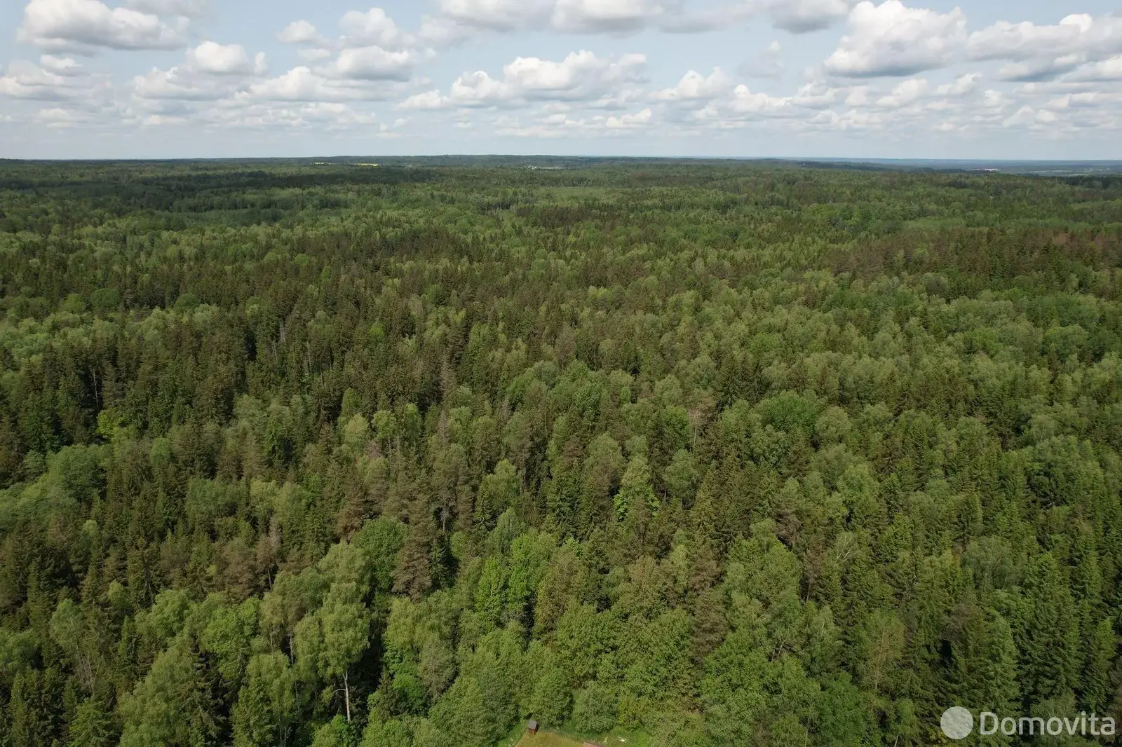 Цена продажи участка, Борщевник, д. 57