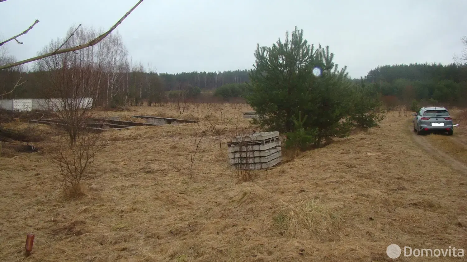 участок, Суринты,