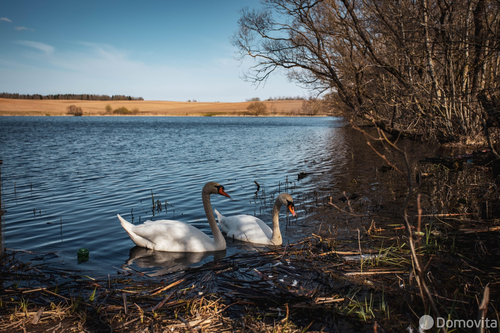 Купить земельный участок, 33.05 соток, Казеково, Минская область, 26500USD, код 571778 - фото 24