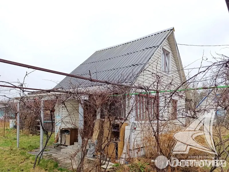 Купить 1-этажную дачу в Здоровье 2008 Брестская область, 15500USD, код 185353 - фото 2