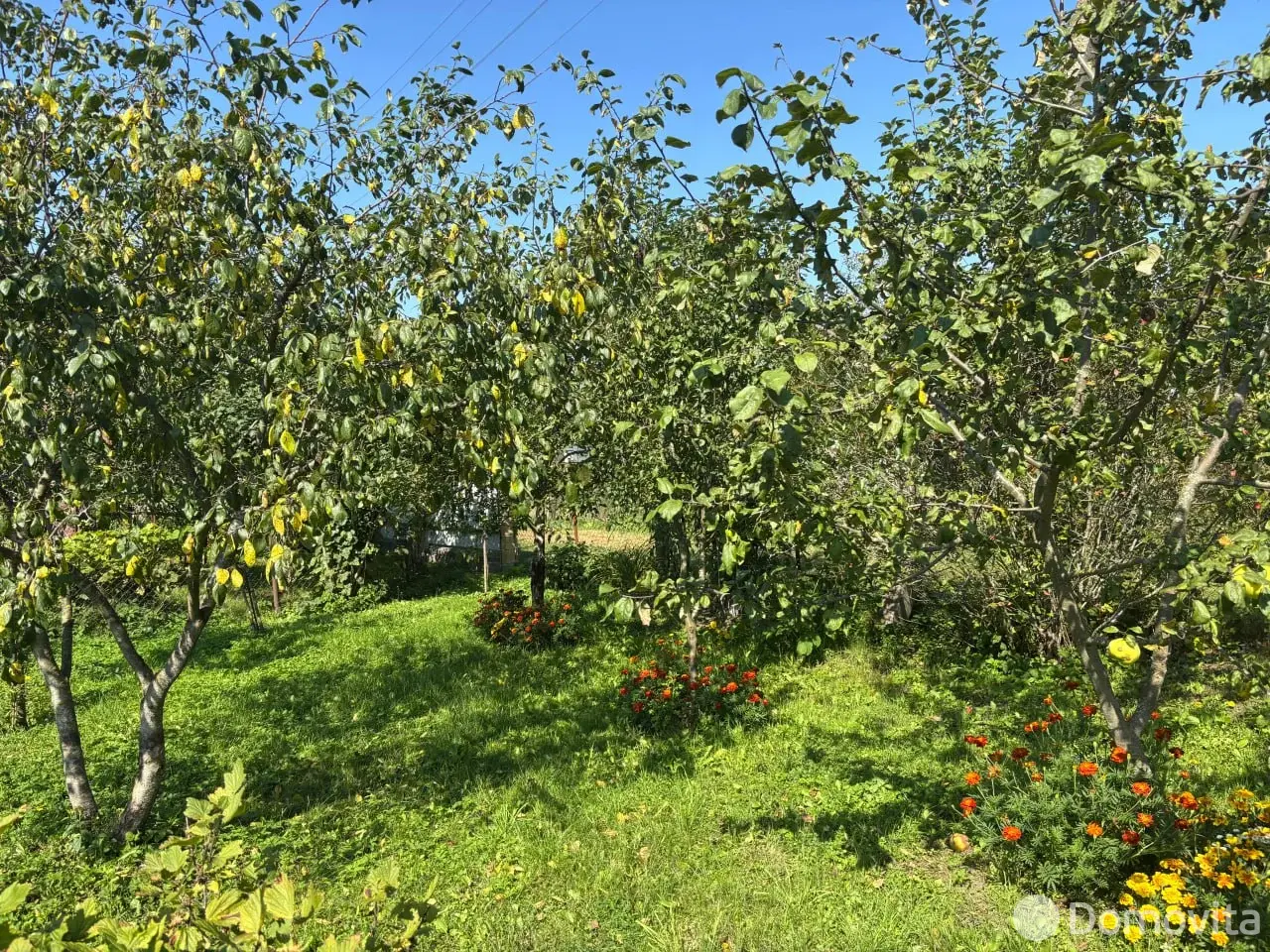 Купить 1-этажную дачу в Голубика Минская область, 4600USD, код 184058 - фото 11