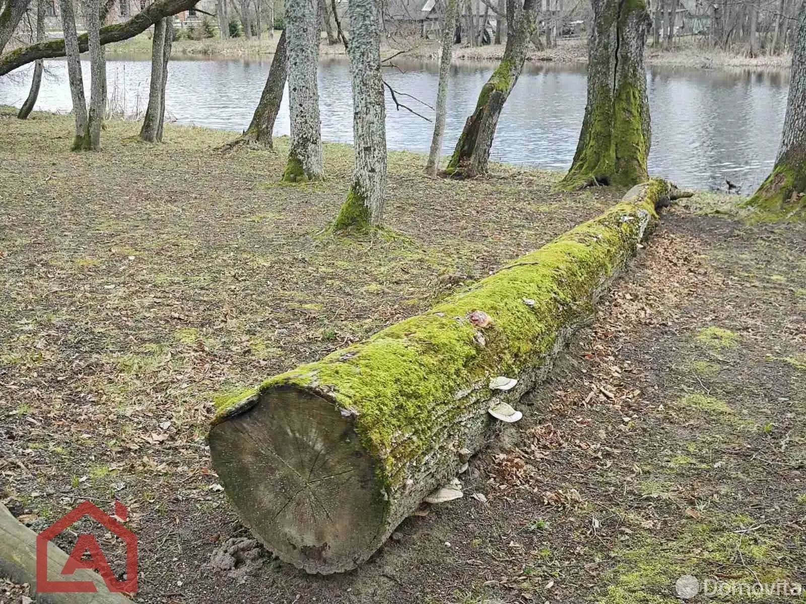 Цена продажи дома, Стайки, ул. Центральная