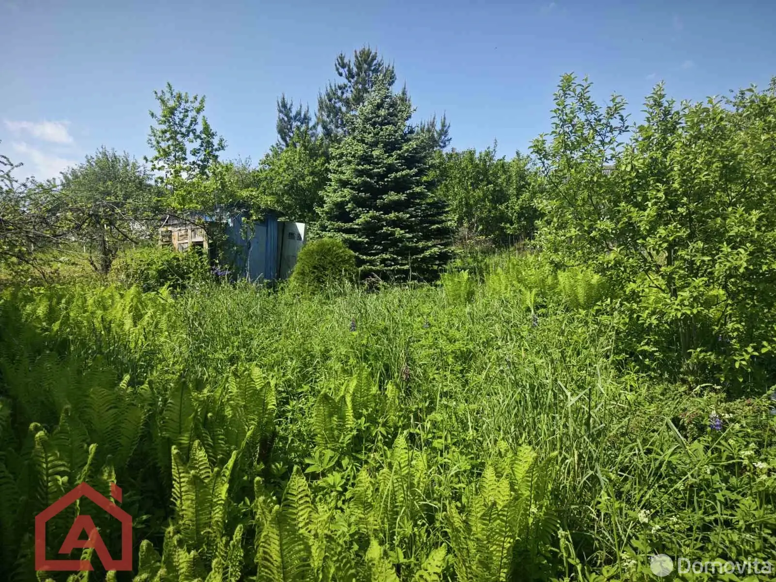 Купить земельный участок, 9 соток, Поляна, Минская область, 13000USD, код 571785 - фото 23