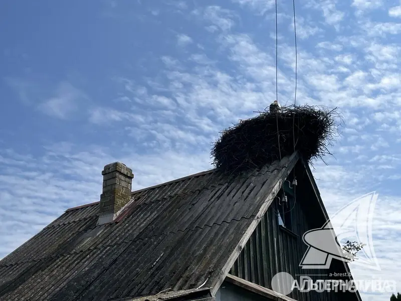 Продажа 1-этажной дачи в Машиностроитель Брестская область, 15200USD, код 179409 - фото 8