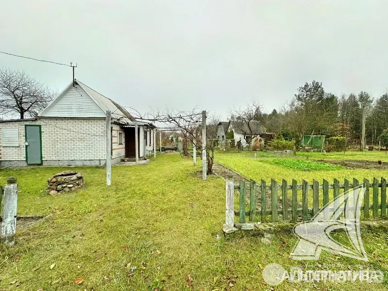 дача, Старица-приграничная, 