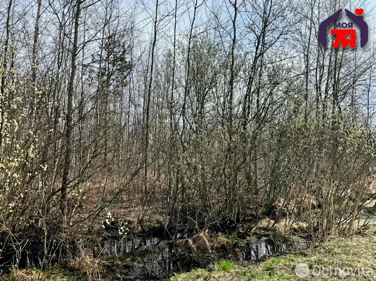 Купить земельный участок, 7.52 соток, Новые земли, Минская область, 21900USD, код 571838 - фото 21