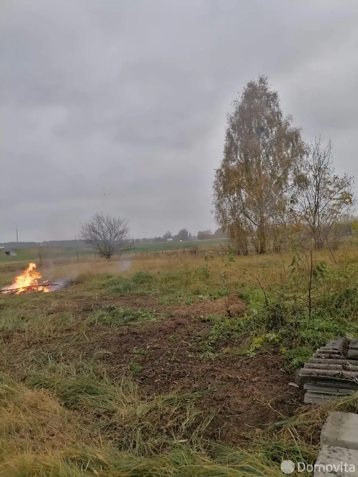 купить участок, Малые Косичи, ул. Центральная, д. 5