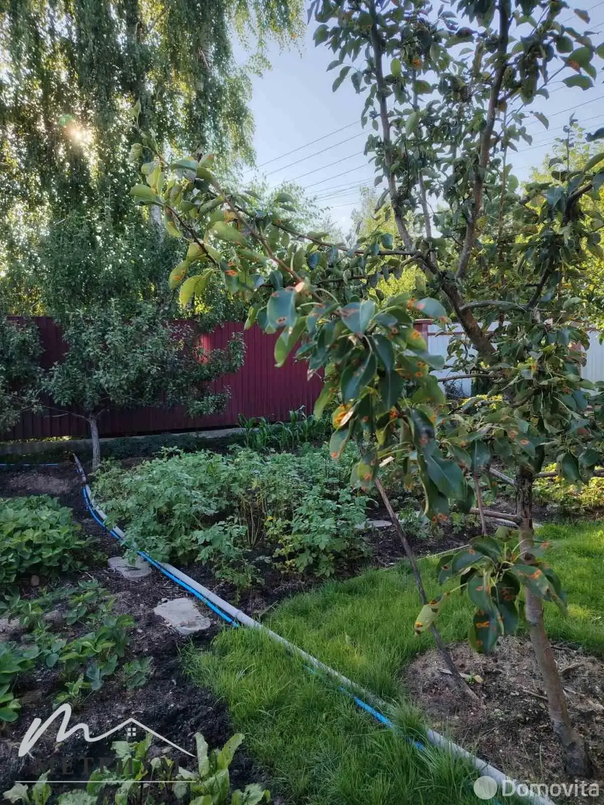 Стоимость продажи дачи, Птичь, 