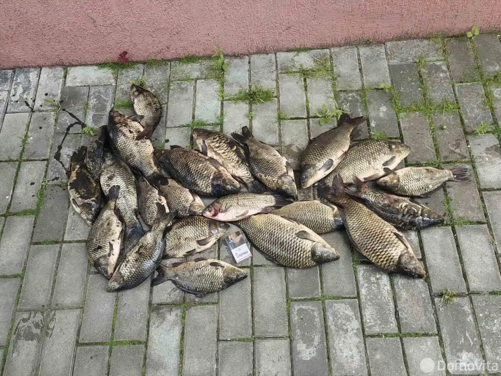 Купить 1-этажную дачу в Полочанах Минская область, 14000USD, код 184763 - фото 27