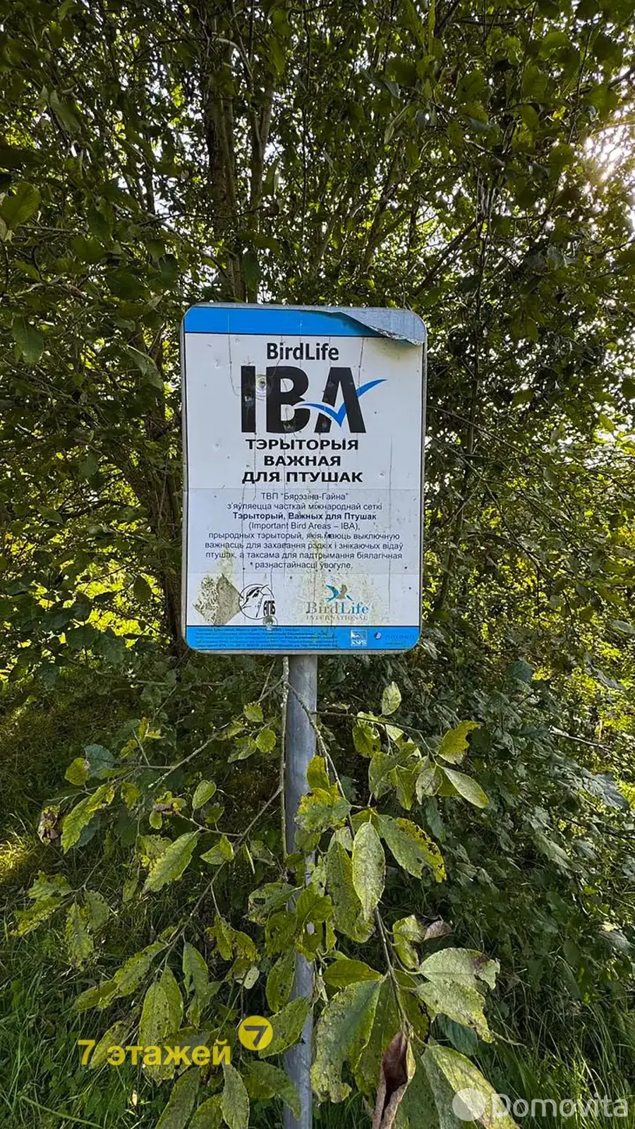 Купить 2-этажную дачу в Энергостроителе Минская область, 15499USD, код 179902 - фото 37