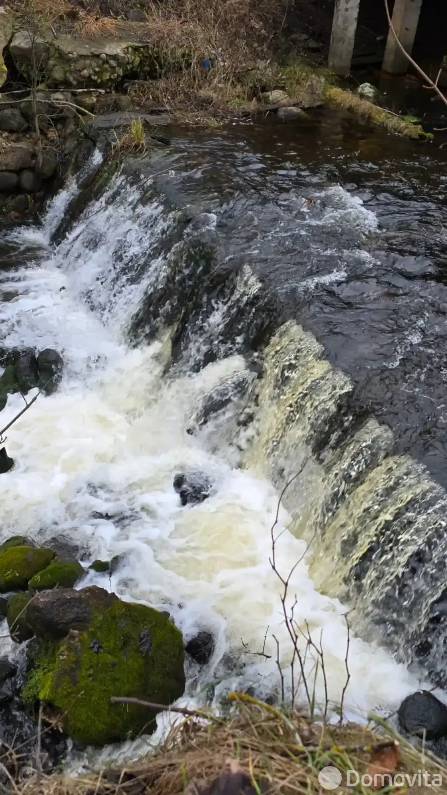 Аренда коттеджа Медвежья Сила на сутки в Замошьем , 400BYN, код 1253 - фото 24