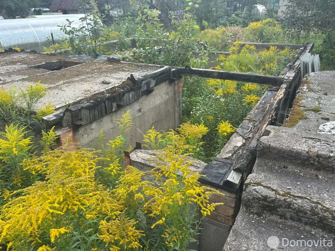 дача, Заря-81,