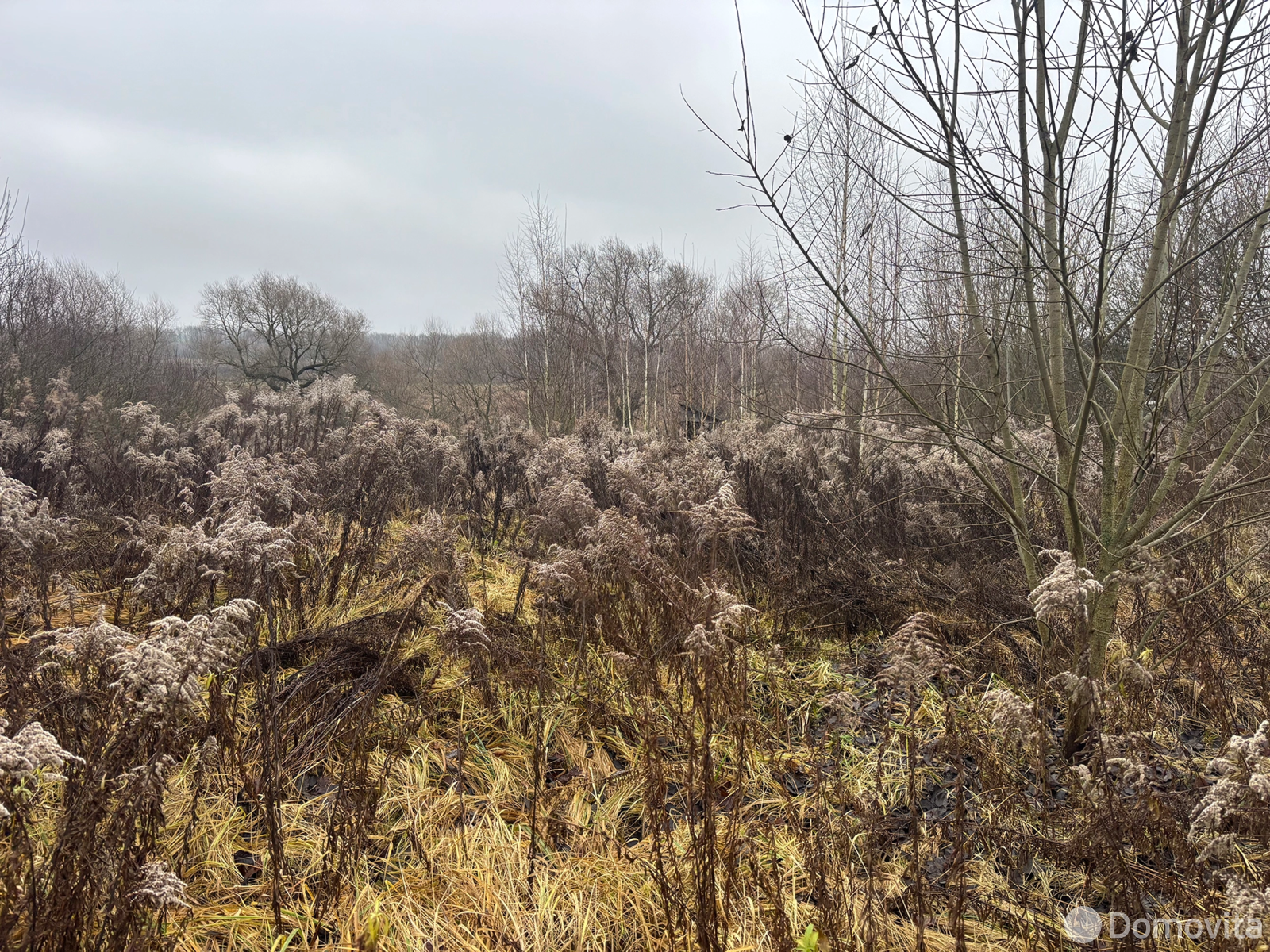 коттедж, Ясновка,