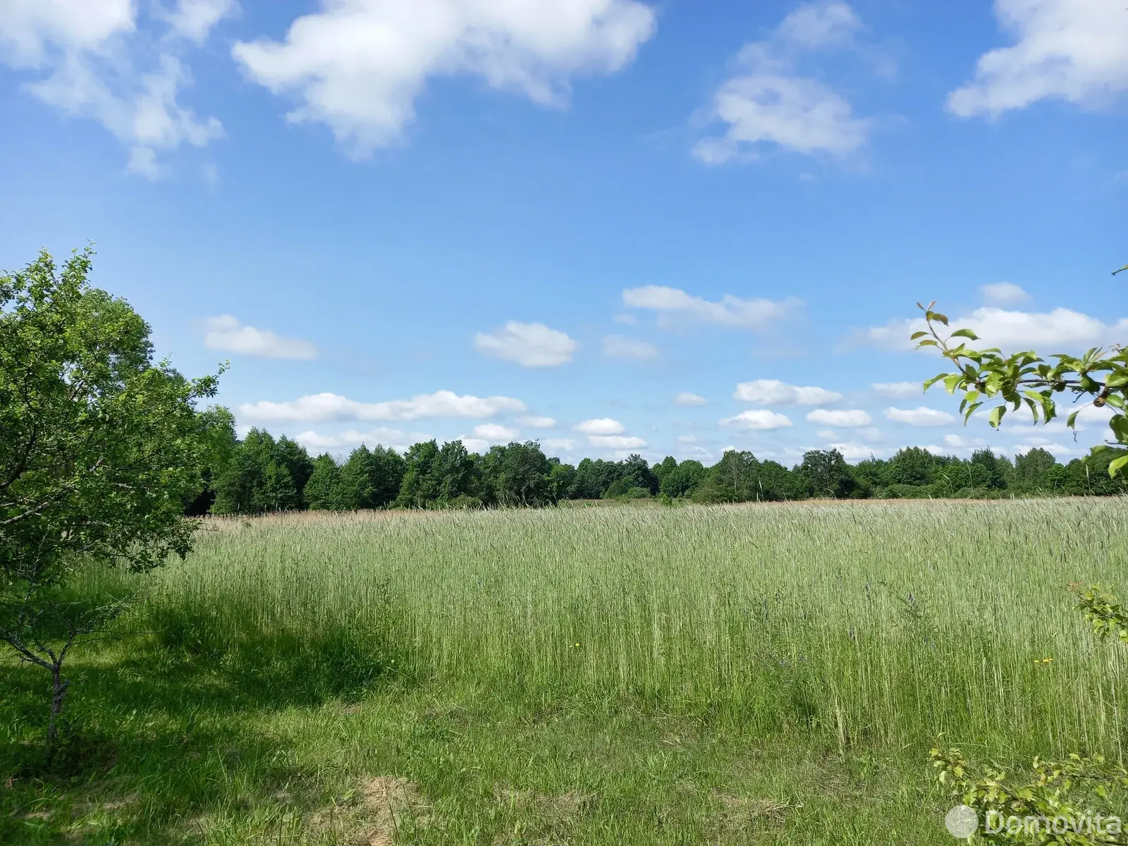 Цена продажи дома, Двор-Гомель, ул. Школьная, д. 6