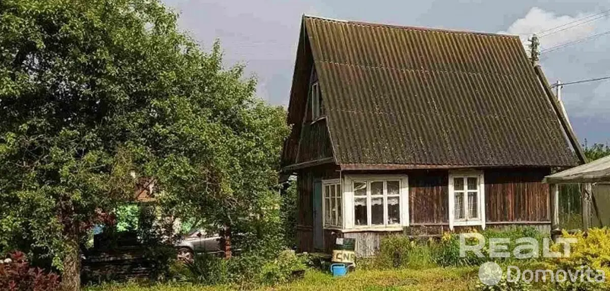 дача, Цветовод-2008, 