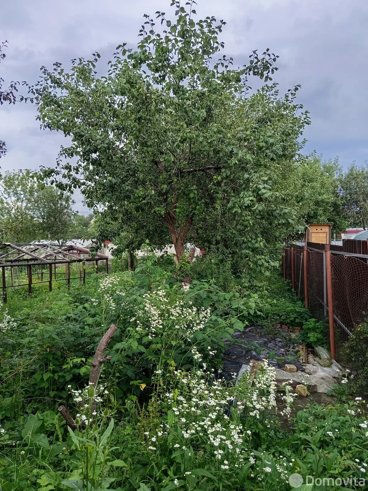 Купить 2-этажную дачу в Кринице Минская область, 9000USD, код 184127 - фото 15