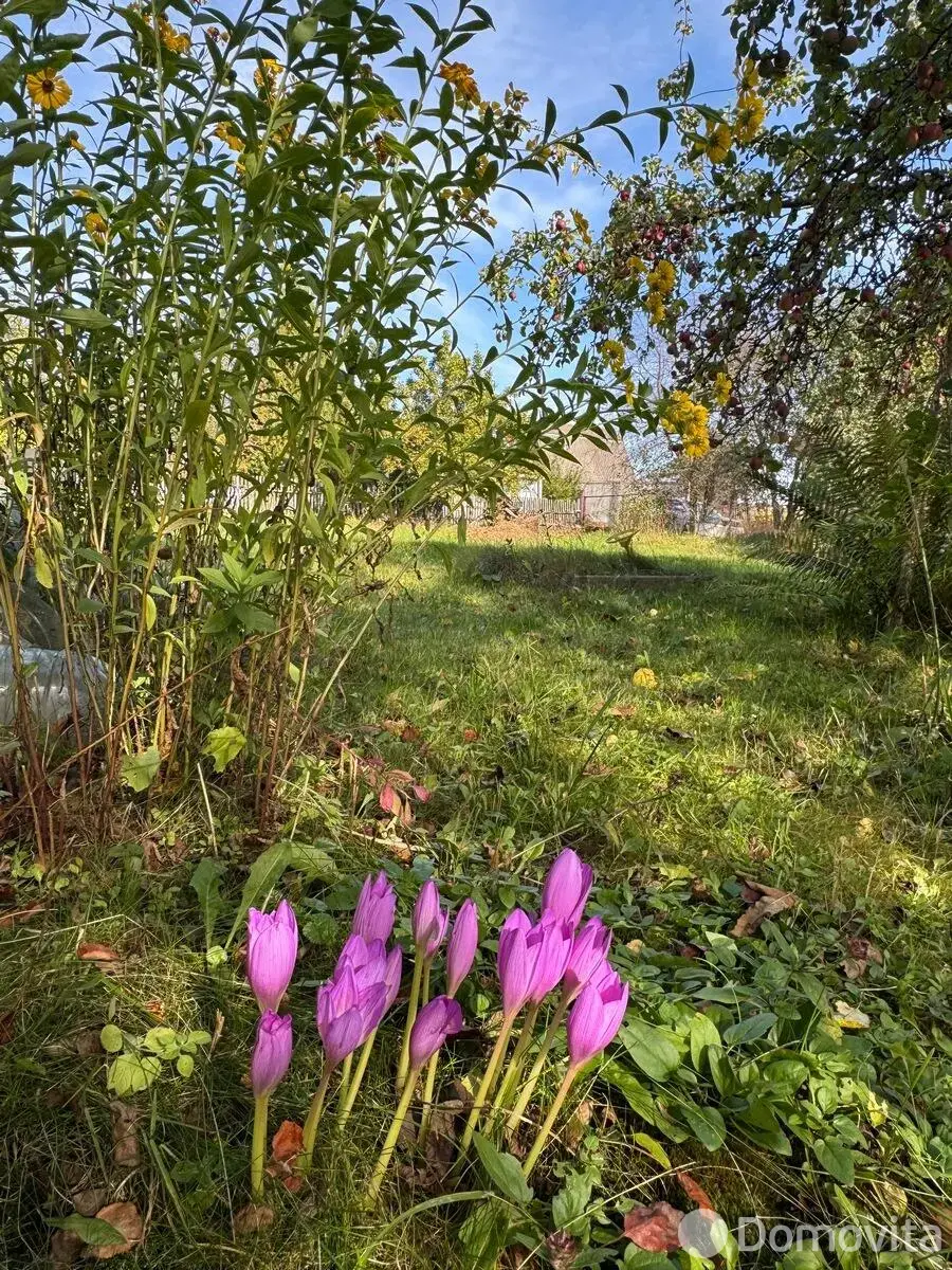 Купить 2-этажную дачу в Горошках Гродненская область, 15000USD, код 184295 - фото 30