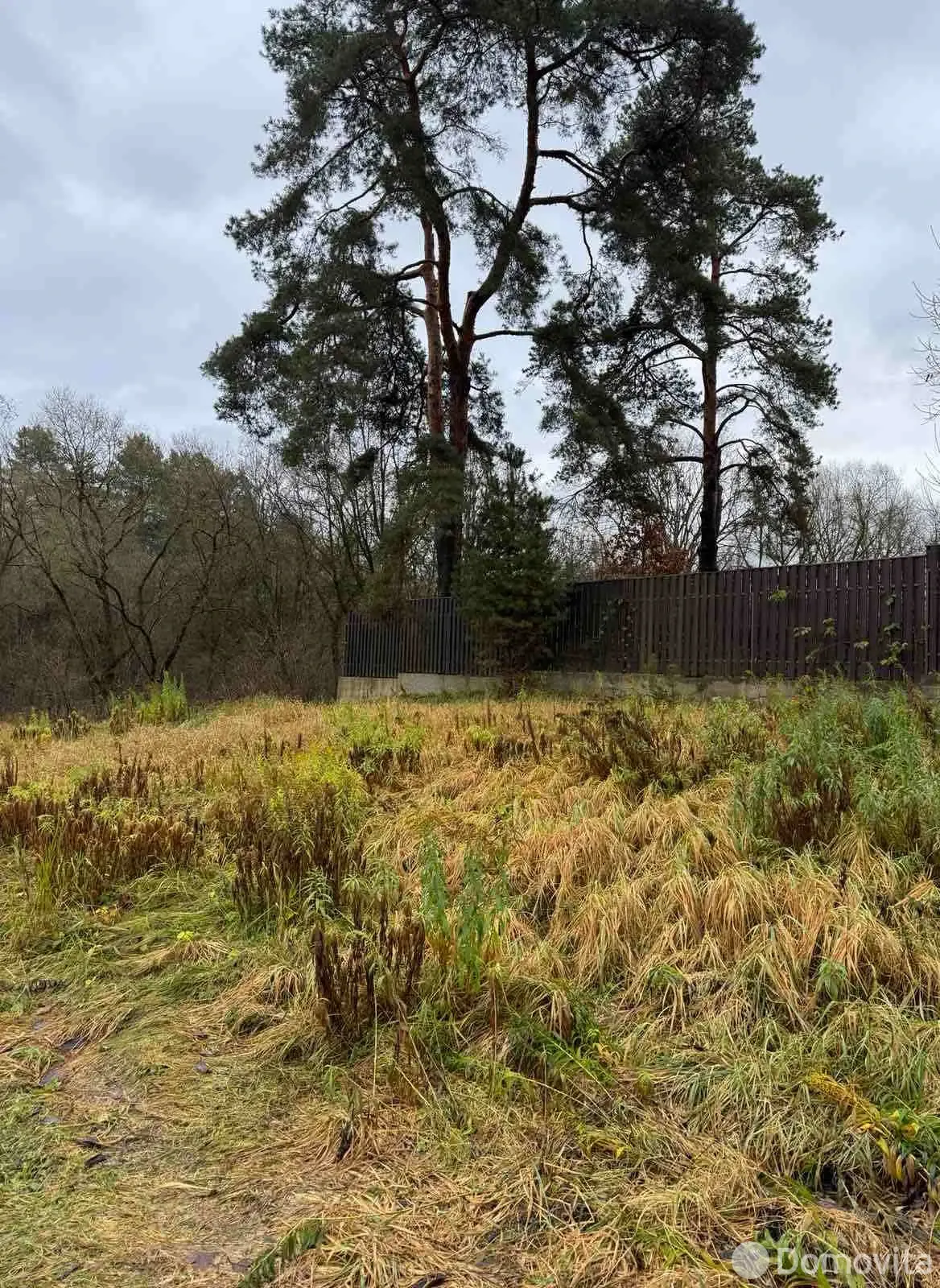 участок, ПРАЛЕСАК,