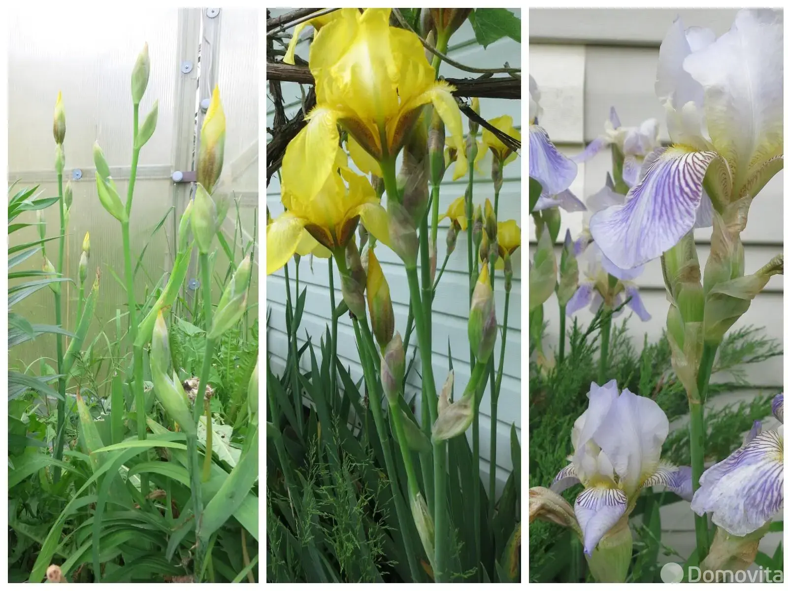 Продажа 2-этажной дачи в Искра Ракова Минская область, 12000USD, код 183113 - фото 28