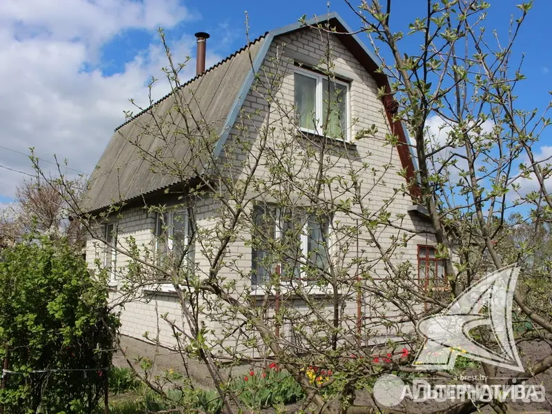 дача, Суница-80, 