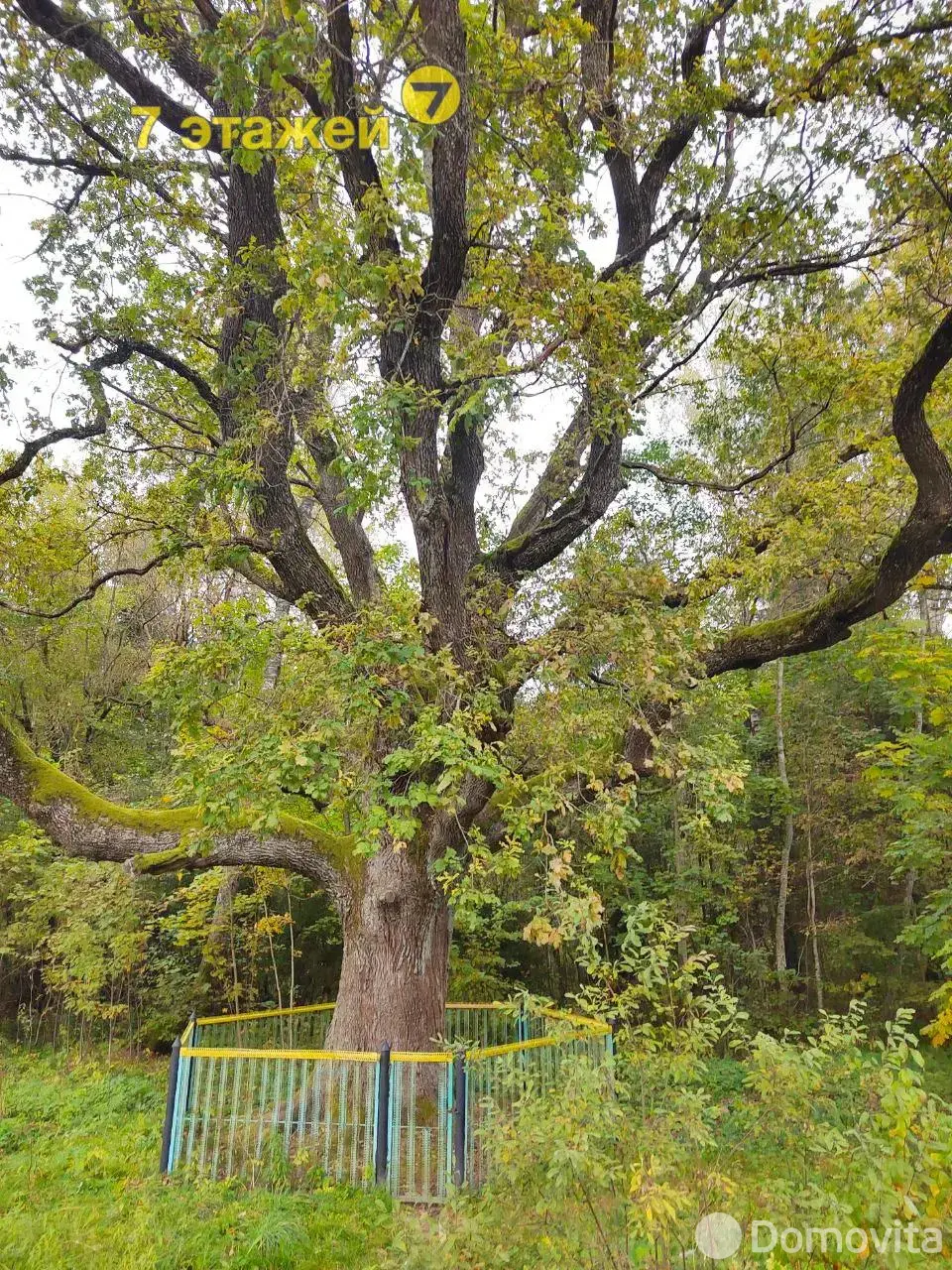 Продажа 2-этажной дачи в Лесное-90 Минская область, 12500USD, код 184314 - фото 27