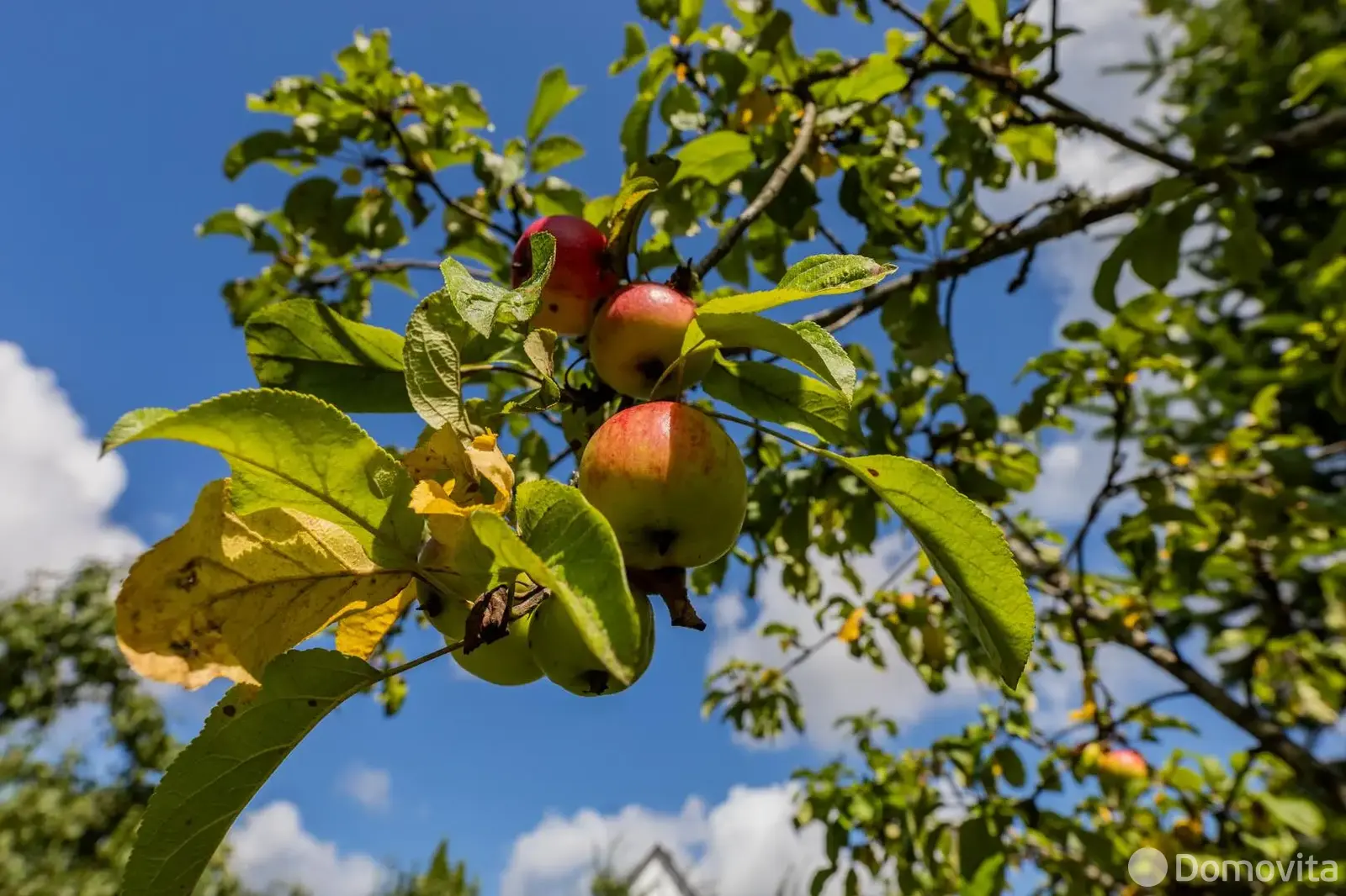 Купить 2-этажную дачу в Росинка Минская область, 18500USD, код 183704 - фото 19