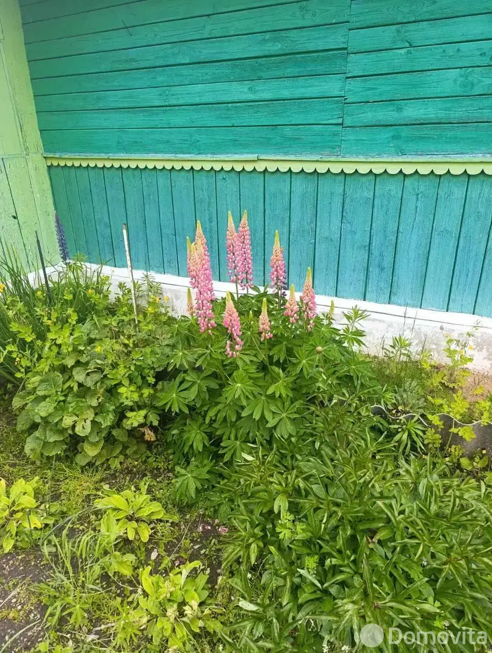 дом, Нивки, ул. Сельская, д. 3 