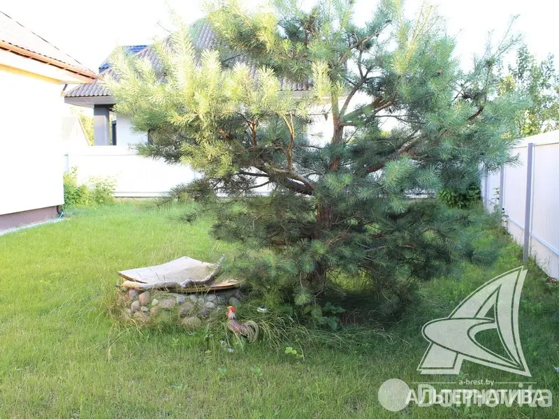 Продажа 1-этажной дачи в Березовая роща 395 Брестская область, 110000USD, код 162088 - фото 25