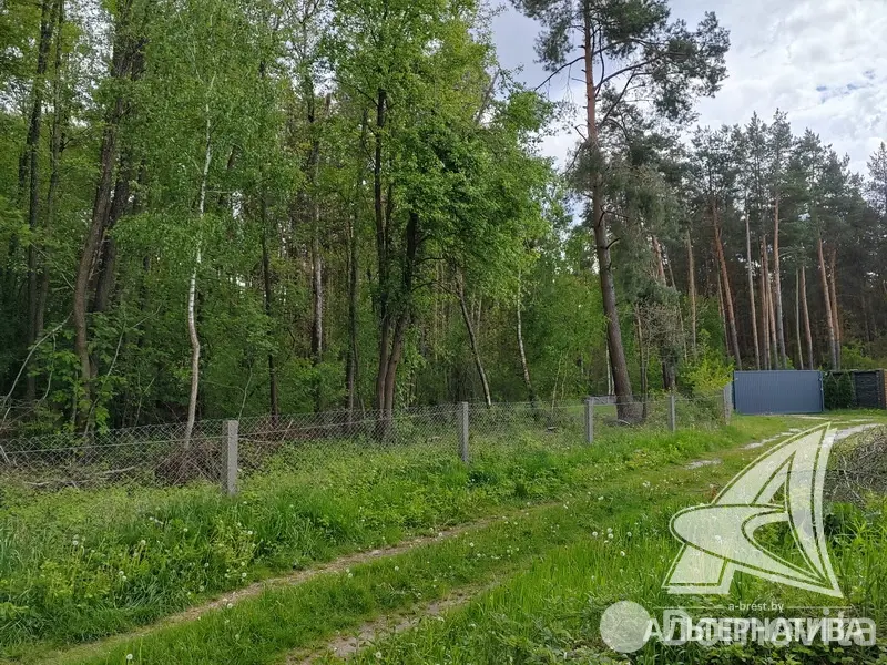 Купить 2-этажную дачу в Березовая роща-87 Брестская область, 59000USD, код 182777 - фото 16