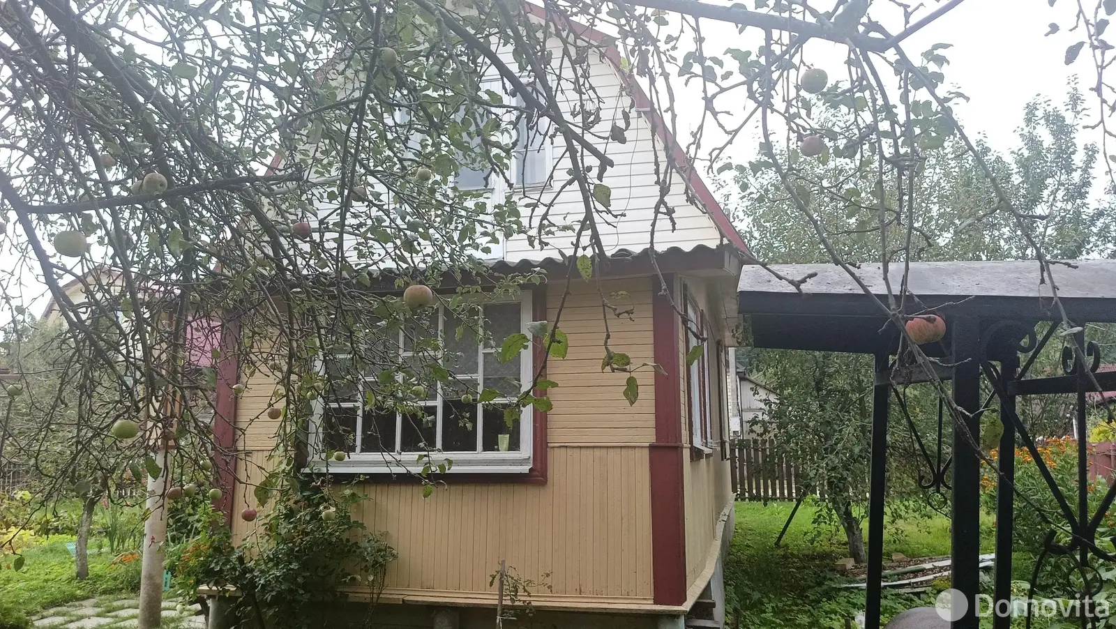 дача, Елочка, д. 53