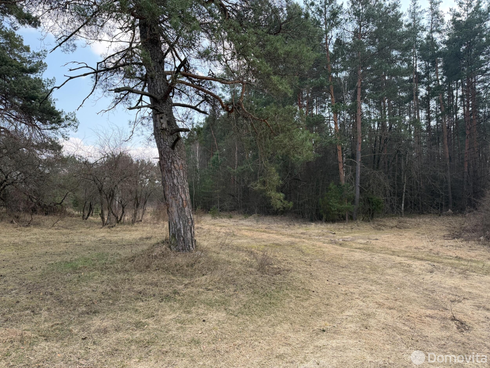 Цена продажи участка, Прилуки,