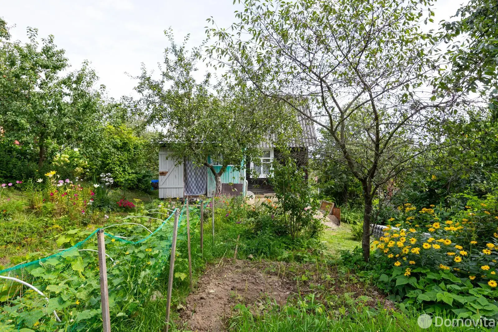 продажа дачи, Птичь-219, 