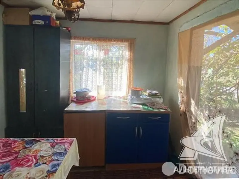 дача, Молодая гвардия 91, 