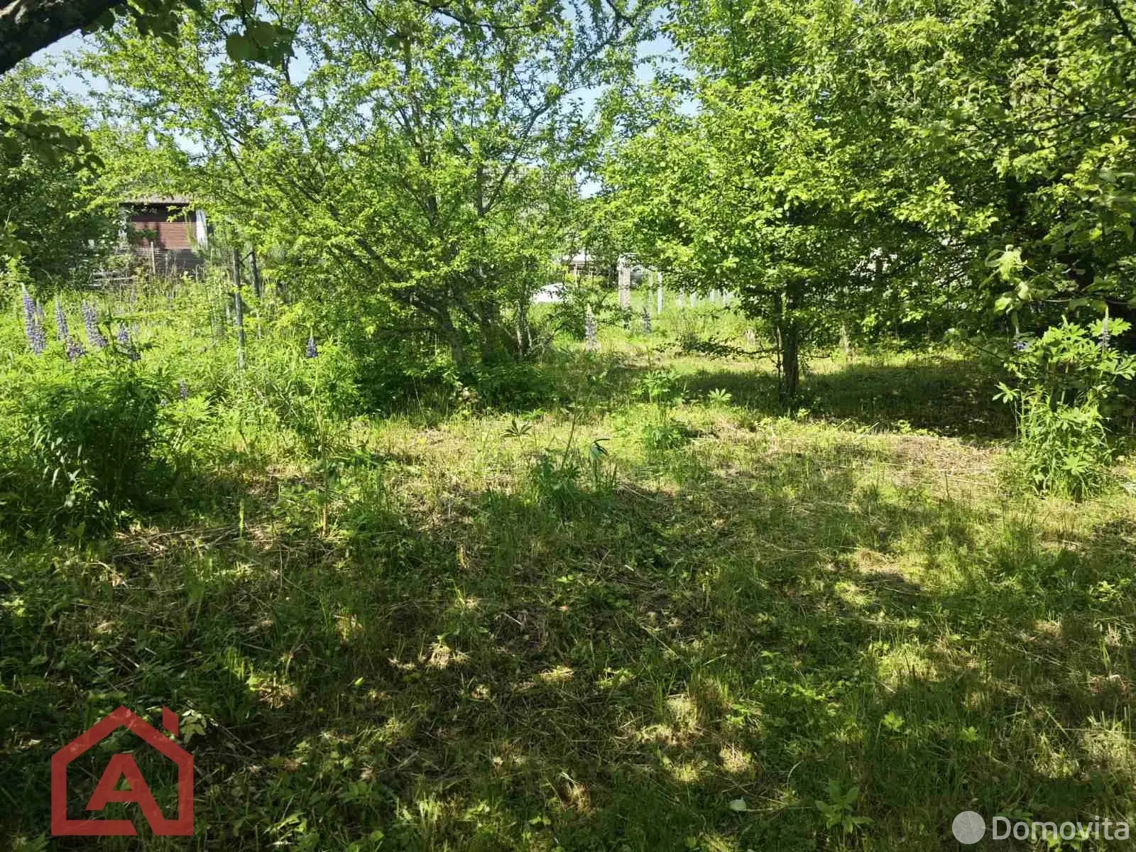 участок, Поляна, 